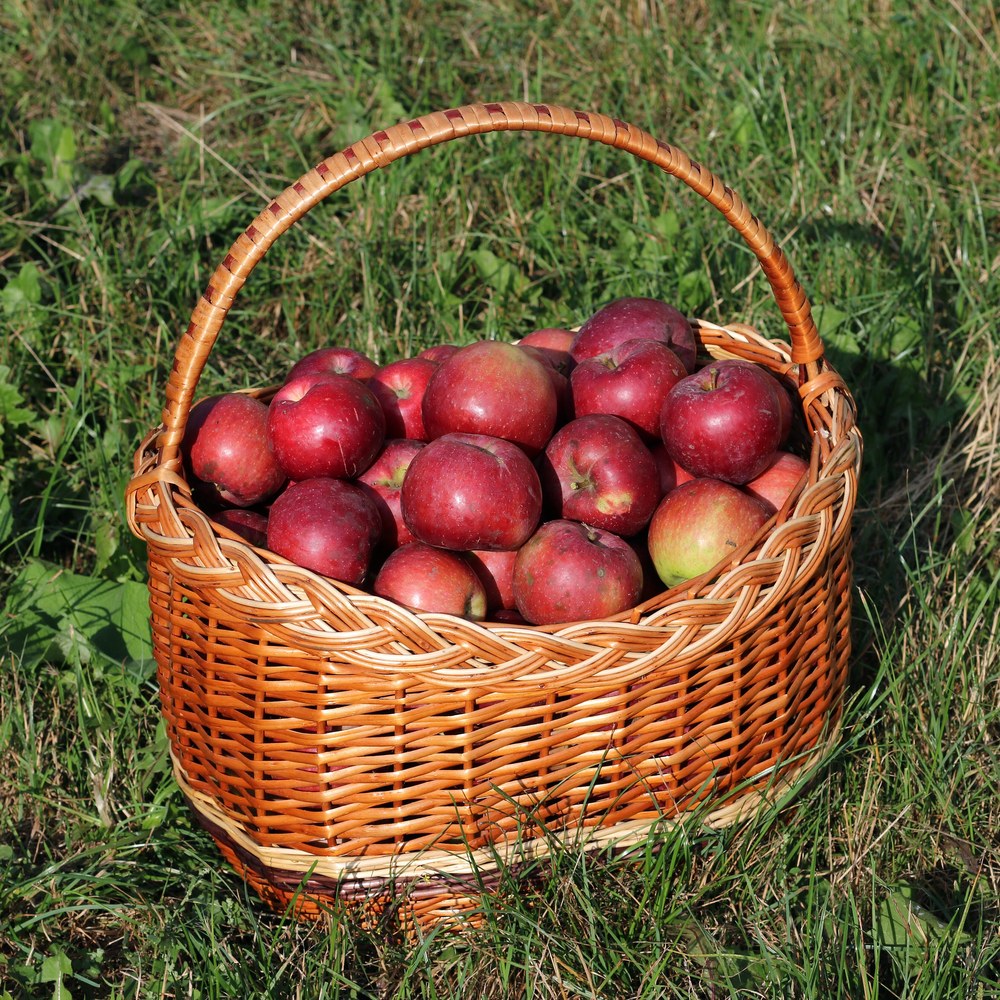 Foldable Storage Basket